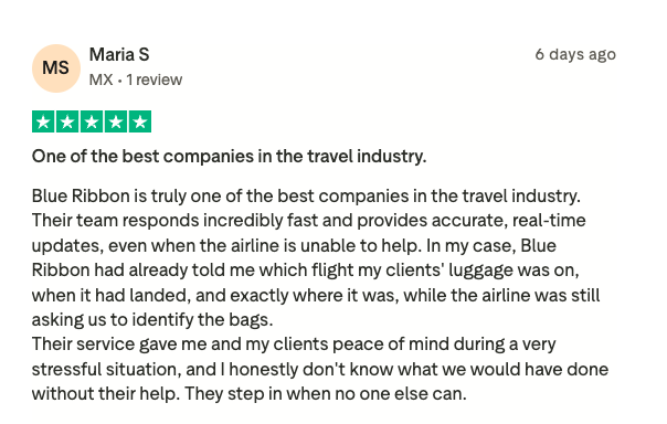 Five-star Trustpilot review from Maria S titled “One of the best companies in the travel industry”: Blue Ribbon responded incredibly fast with accurate real-time updates and knew exactly which flight her clients' luggage was on while the airline was still asking her to identify the bags.